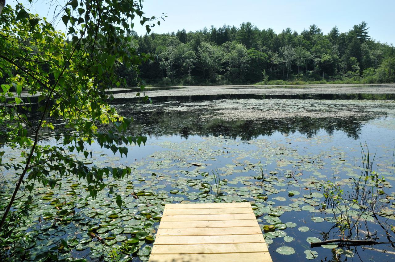 Tuxbury Pond Camping Resort Tiny House Murphy South Hampton Extérieur photo